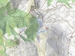 Mappa (www.freemap.sk)