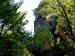 La Torre avvolta dalla vegetazione
